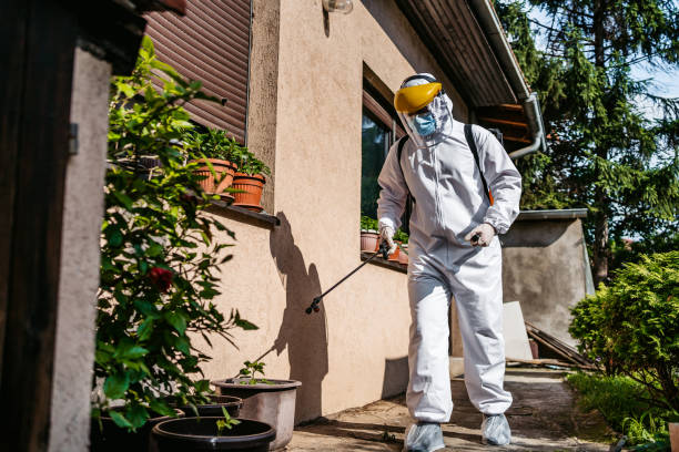 Best Wasp Removal Services  in Stockton, UT