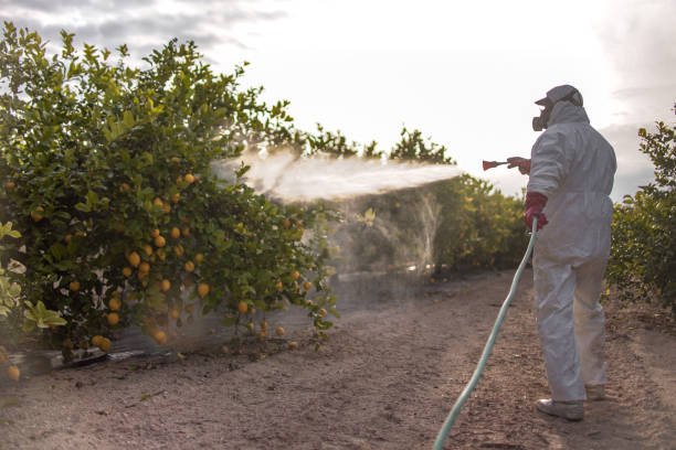 Best Local Pest Control Services  in Stockton, UT